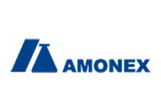 Amonex do Brasil is served by Resulta Corporate Consulting. Visit the institutional website.