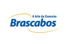 Consulting, Human Capital Management, Financial Management, Risk Advisory, Outsourcing, Strategic Risk Management for Brascabos - Componentes Elétricos e Eletrônicos.